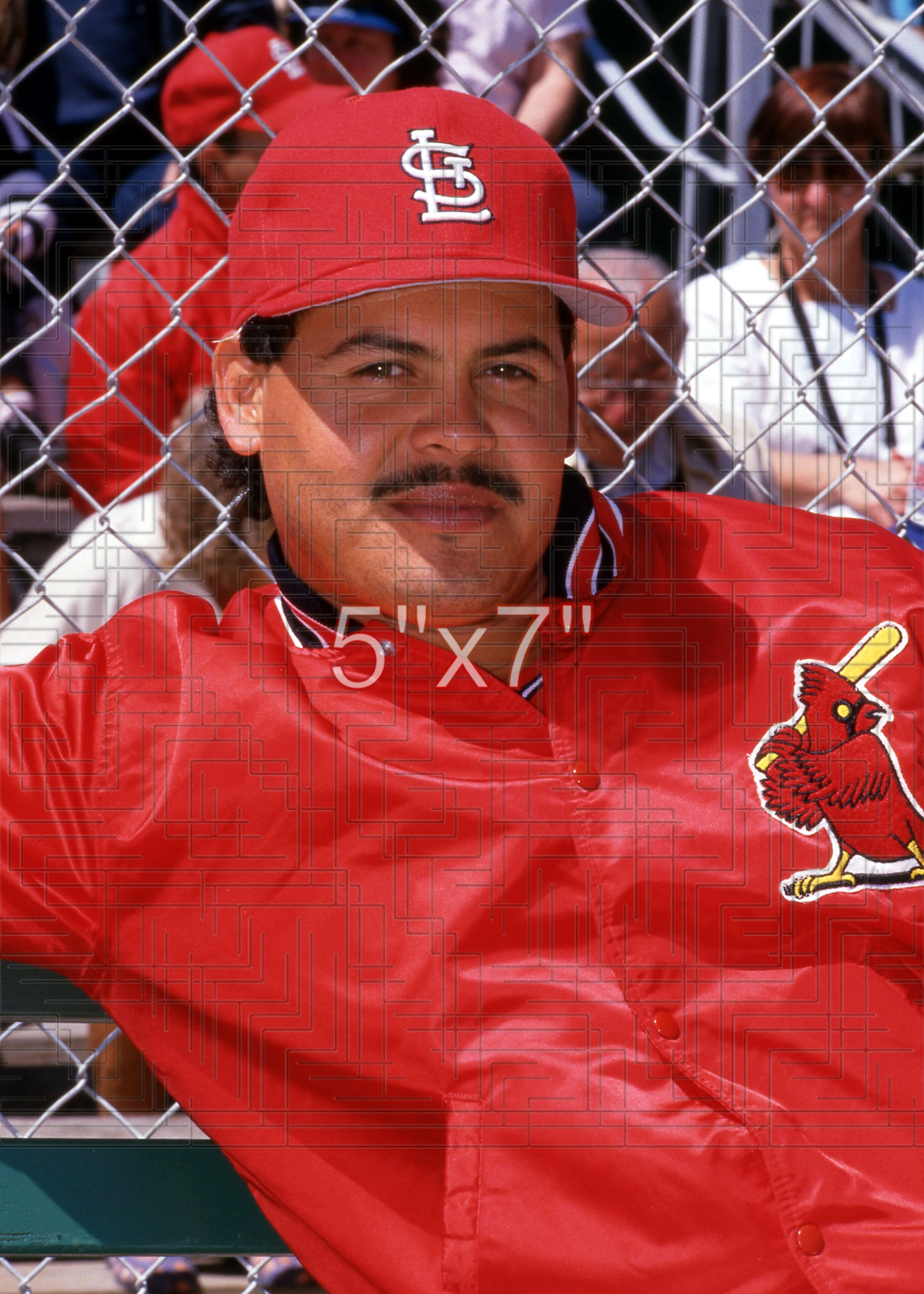 Mike Perez - 1994 St. Louis Cardinals - choose a size & style