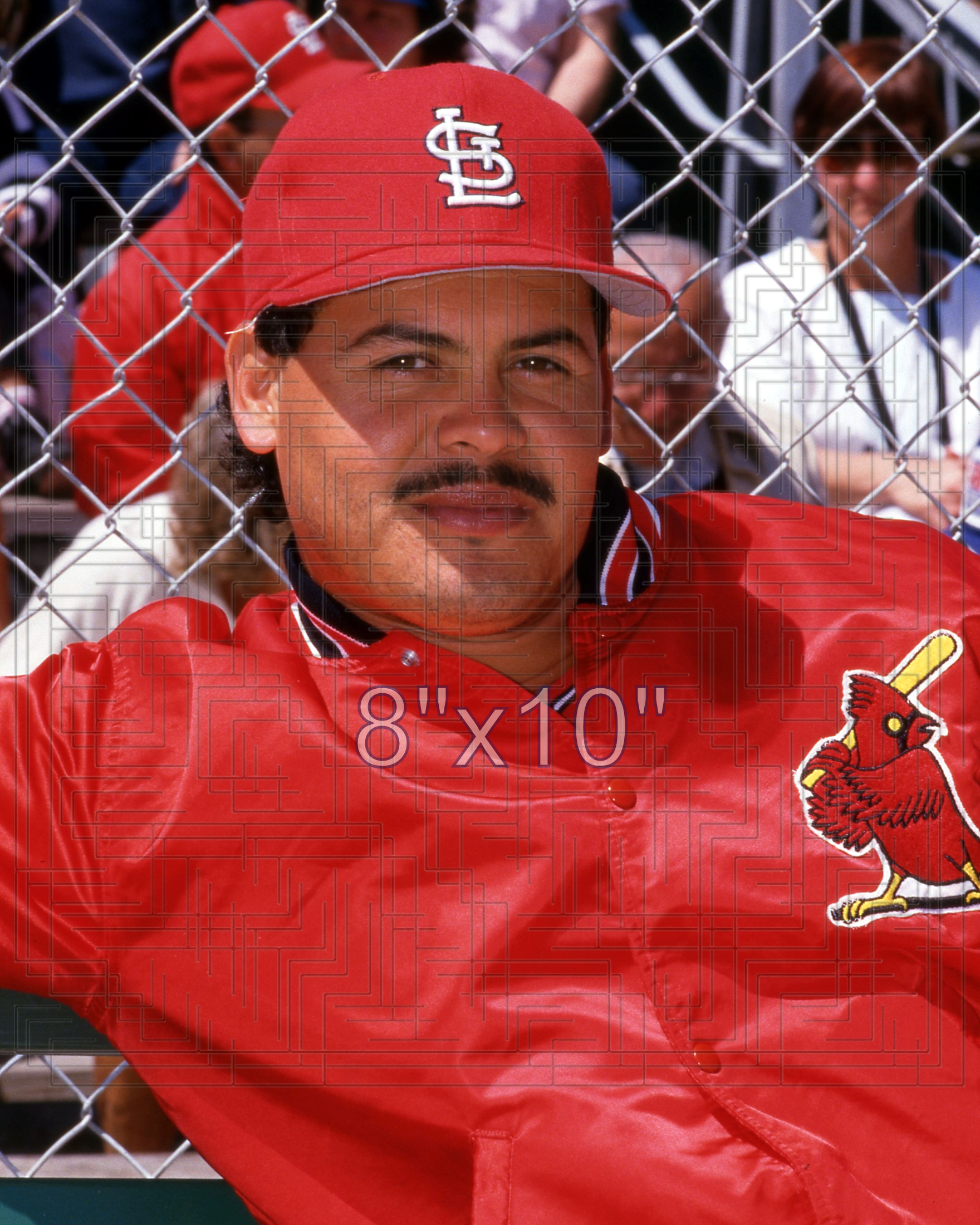 Mike Perez - 1994 St. Louis Cardinals - choose a size & style