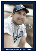 Mike Sandlock - 1942 Boston Braves - choose a size & style