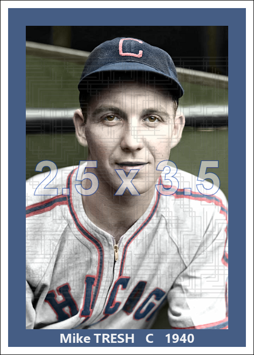 Mike Tresh - 1940 Chicago White Sox - choose a size & style
