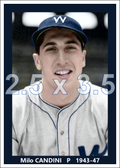 Milo Candini - 1943-47 Washington Senators - choose a size & style