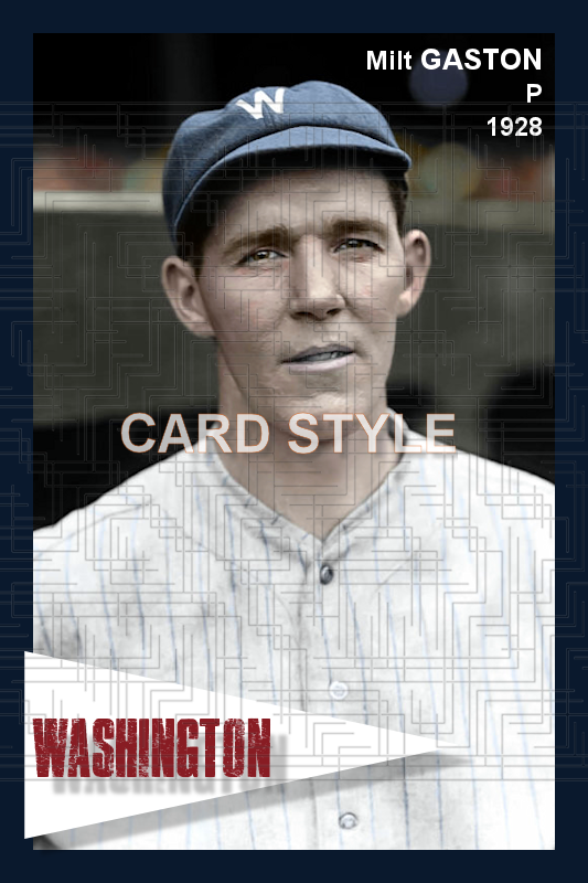 Milt Gaston - 1928 Washington Senators - choose a size & style