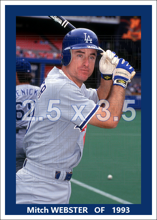 Mitch Webster - 1993 Los Angeles Dodgers - choose a size & style