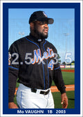 Mo Vaughn - 2003 New York Mets - choose a size & style