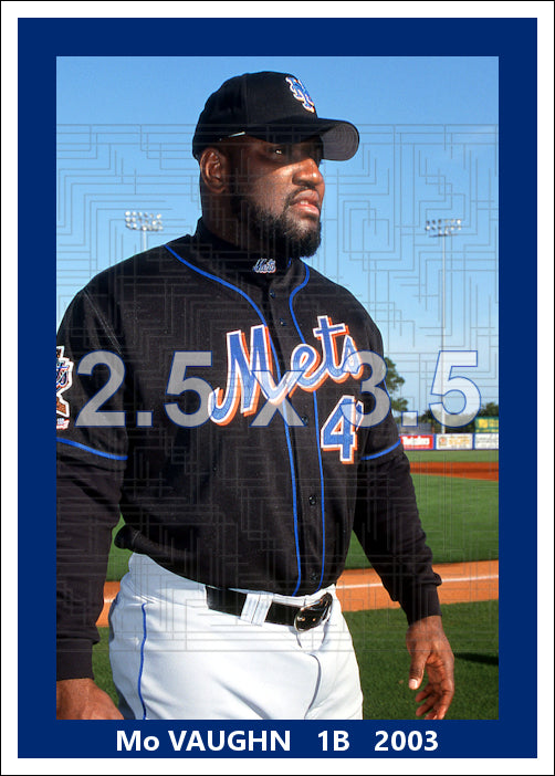 Mo Vaughn - 2003 New York Mets - choose a size & style