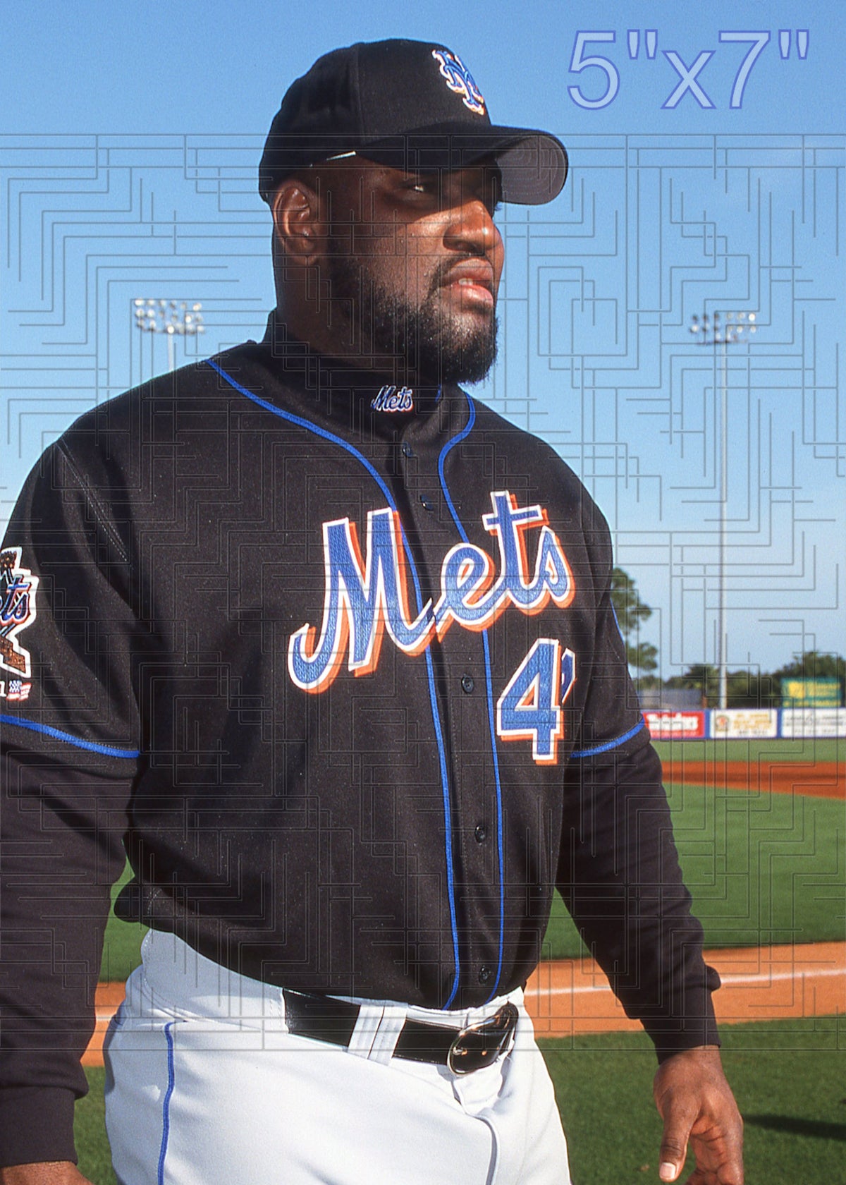 Mo Vaughn - 2003 New York Mets - choose a size & style