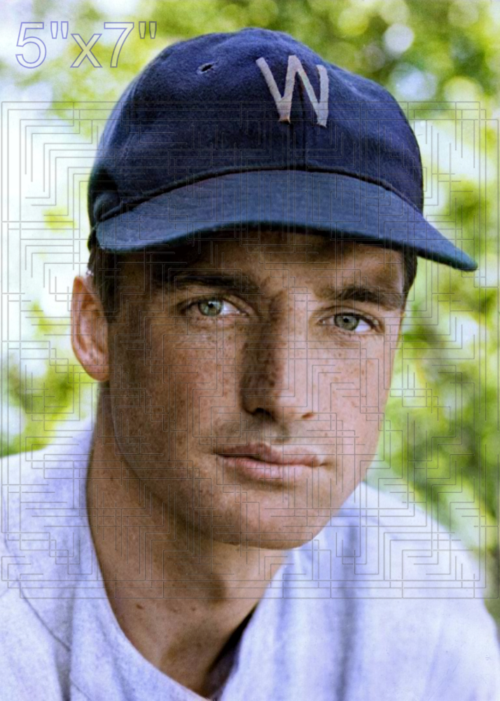 Morrie Aderholt - 1939 Washington Senators - choose a size & style