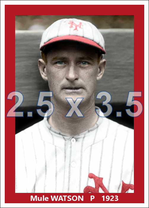 Mule Watson - 1923 New York Giants - choose a size & style
