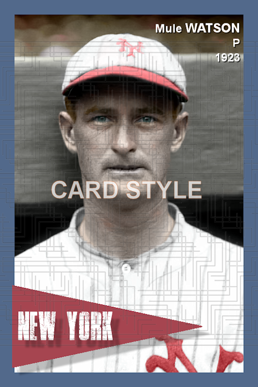 Mule Watson - 1923 New York Giants - choose a size & style