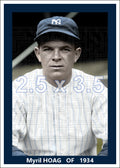 Myril Hoag - 1934 New York Yankees - choose a size & style