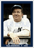 Nate Andrews - 1944 Boston Braves - choose a size & style