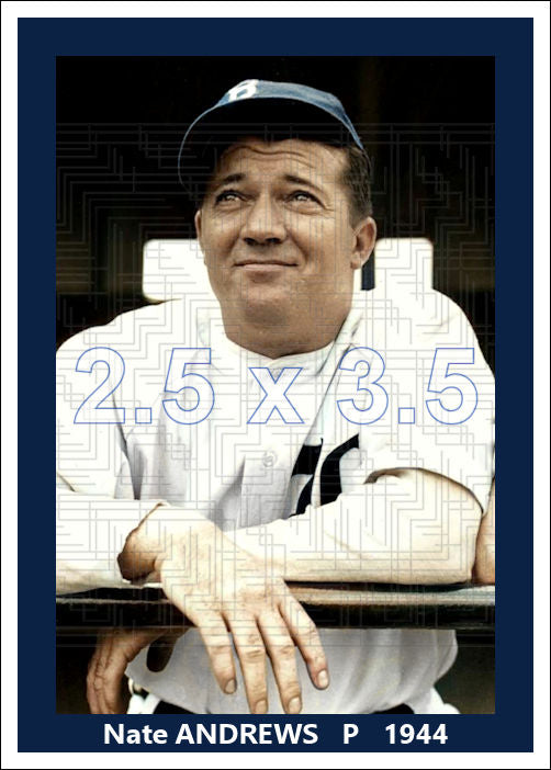 Nate Andrews - 1944 Boston Braves - choose a size & style