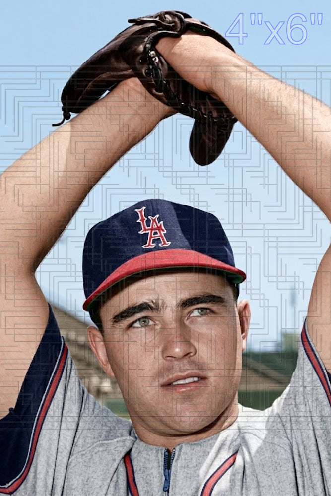 Ned Garver - 1961 Los Angeles Angels - choose a size & style