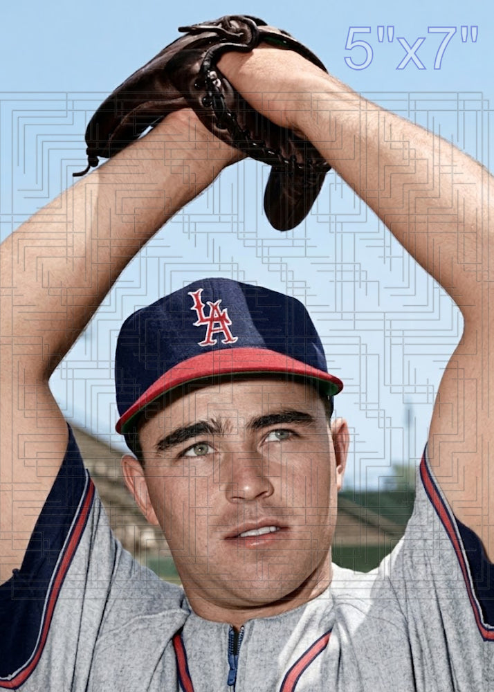 Ned Garver - 1961 Los Angeles Angels - choose a size & style
