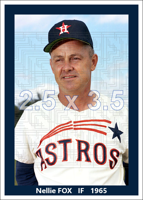 Nellie Fox - 1965 Houston Astros - choose a size & style
