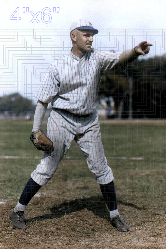 Nelson Greene - 1924 Brooklyn Robins - choose a size & style