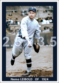 Nemo Leibold - 1924 Washington Senators - choose a size & style