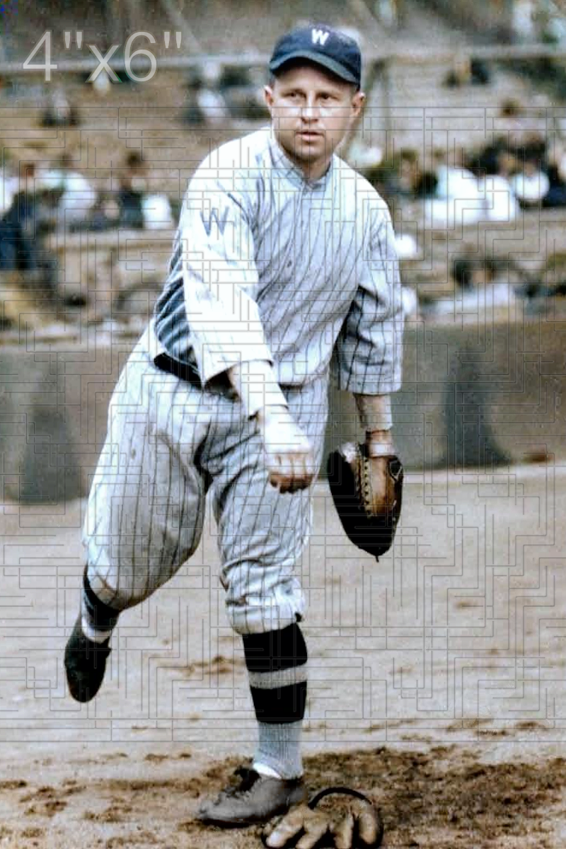Nemo Leibold - 1924 Washington Senators - choose a size & style