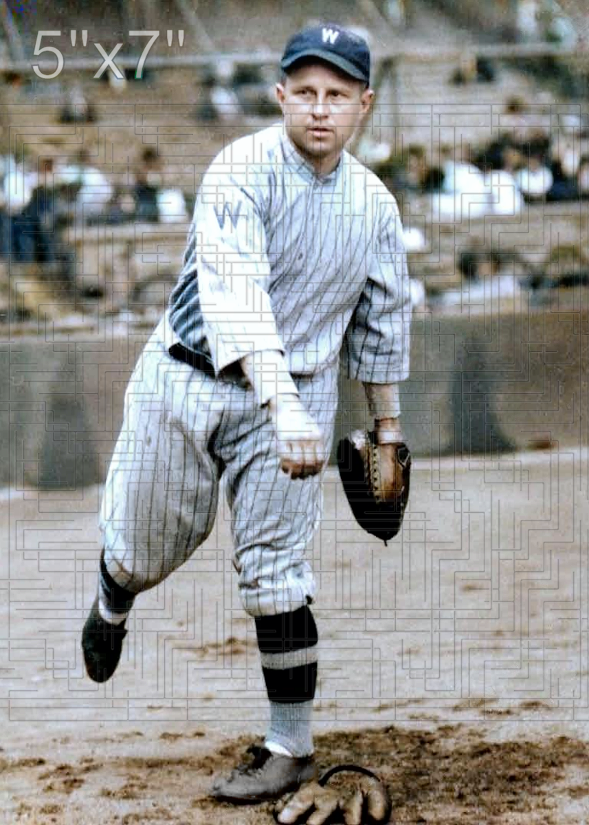Nemo Leibold - 1924 Washington Senators - choose a size & style