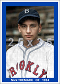 Nick Tremark - 1934 Brooklyn Dodgers - choose a size & style