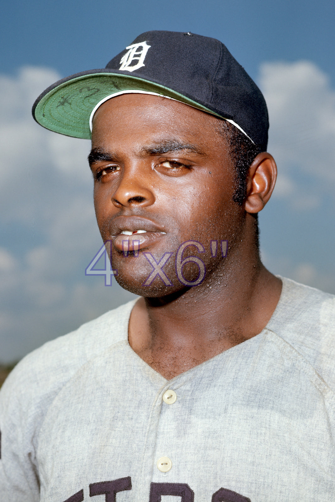Norm McRae - 1969 Detroit Tigers - choose a size & style