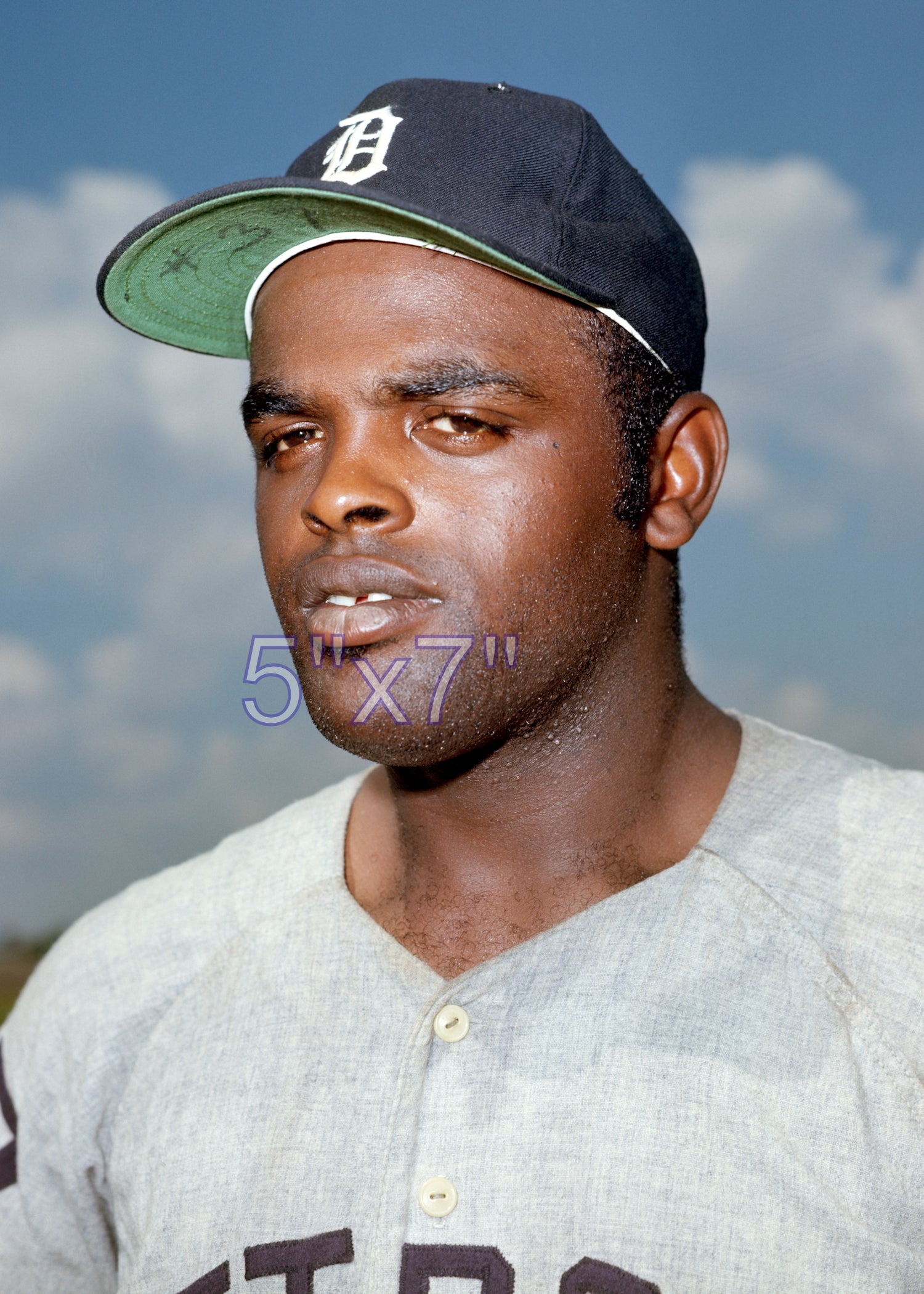 Norm McRae - 1969 Detroit Tigers - choose a size & style