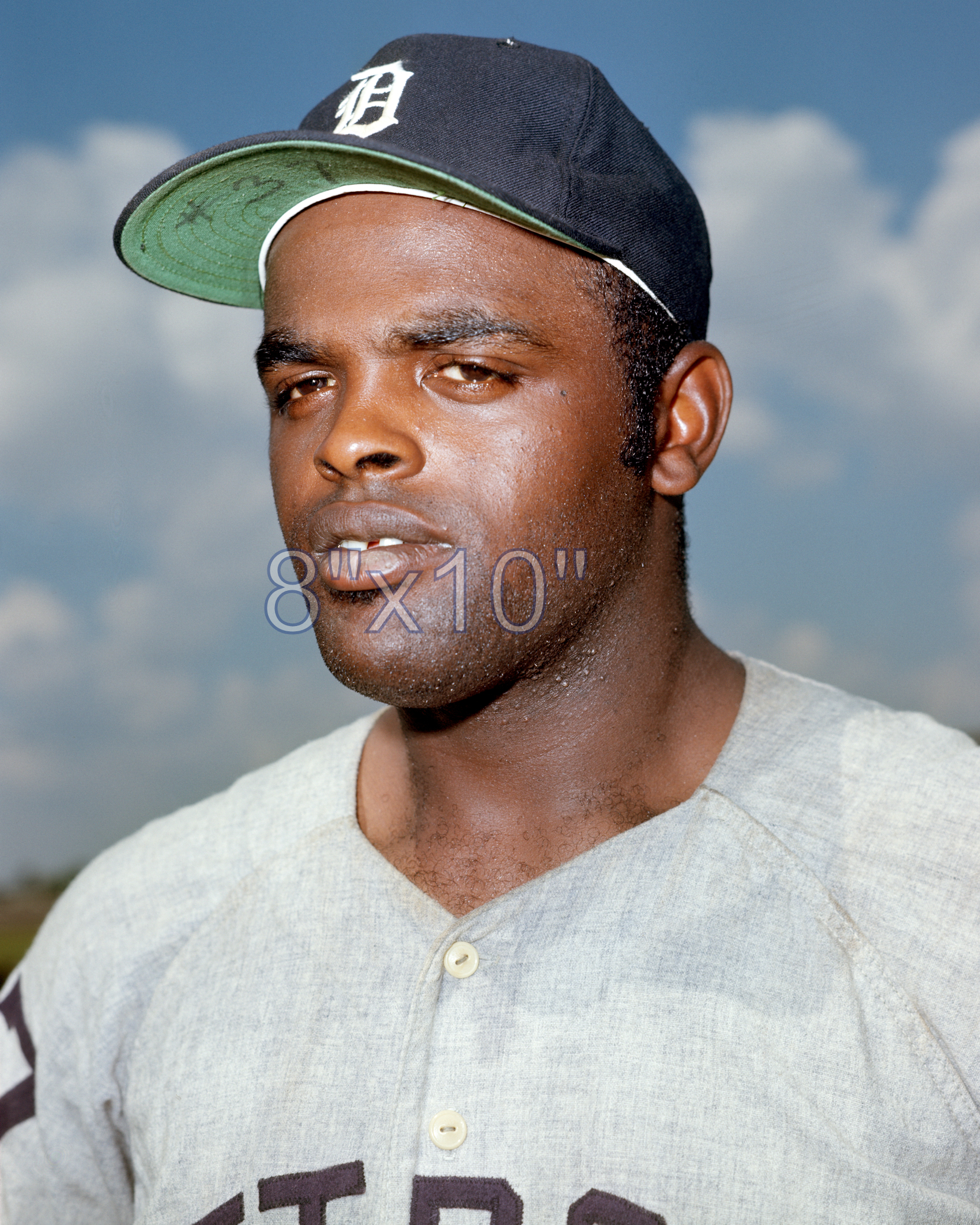 Norm McRae - 1969 Detroit Tigers - choose a size & style