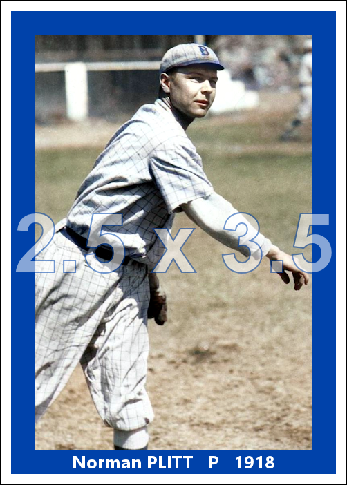 Norman Plitt - 1918 Brooklyn Robins - choose a size & style