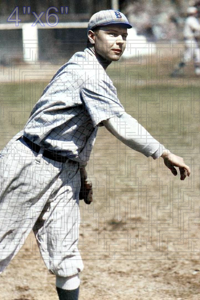 Norman Plitt - 1918 Brooklyn Robins - choose a size & style