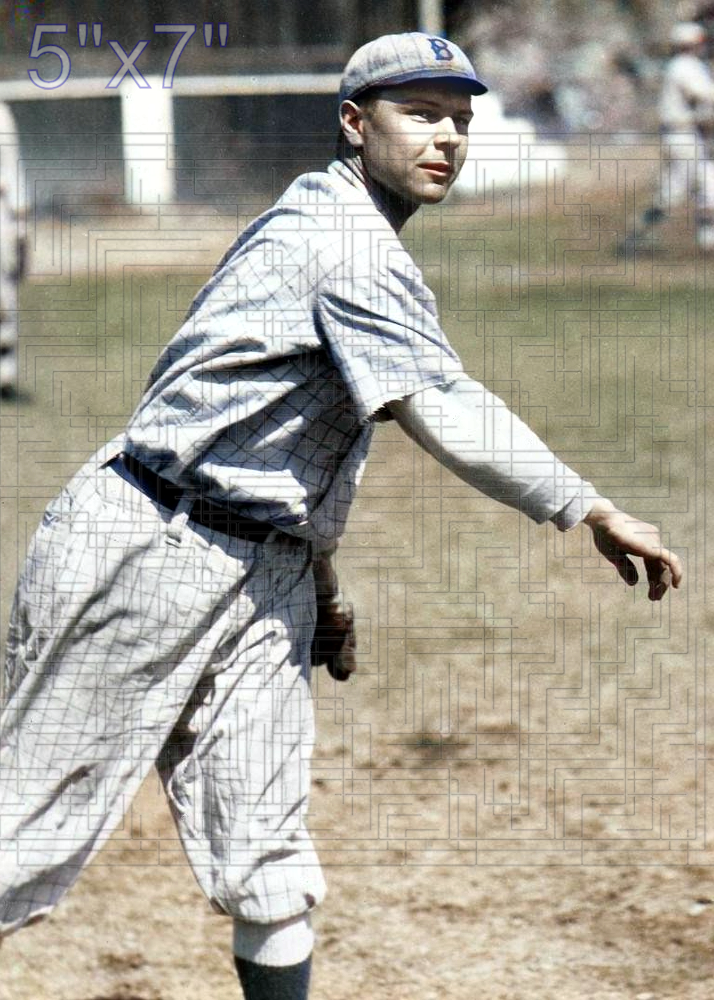 Norman Plitt - 1918 Brooklyn Robins - choose a size & style