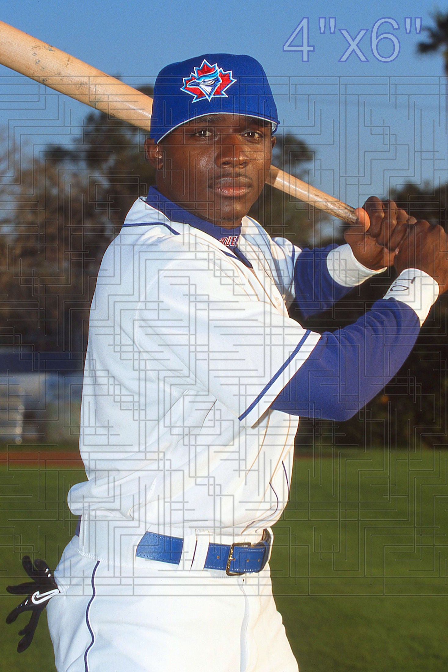 Orlando Hudson - 2002 Toronto Blue Jays - choose a size & style