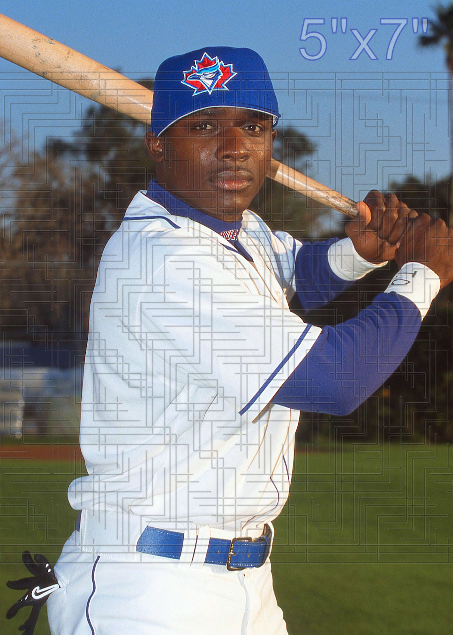 Orlando Hudson - 2002 Toronto Blue Jays - choose a size & style