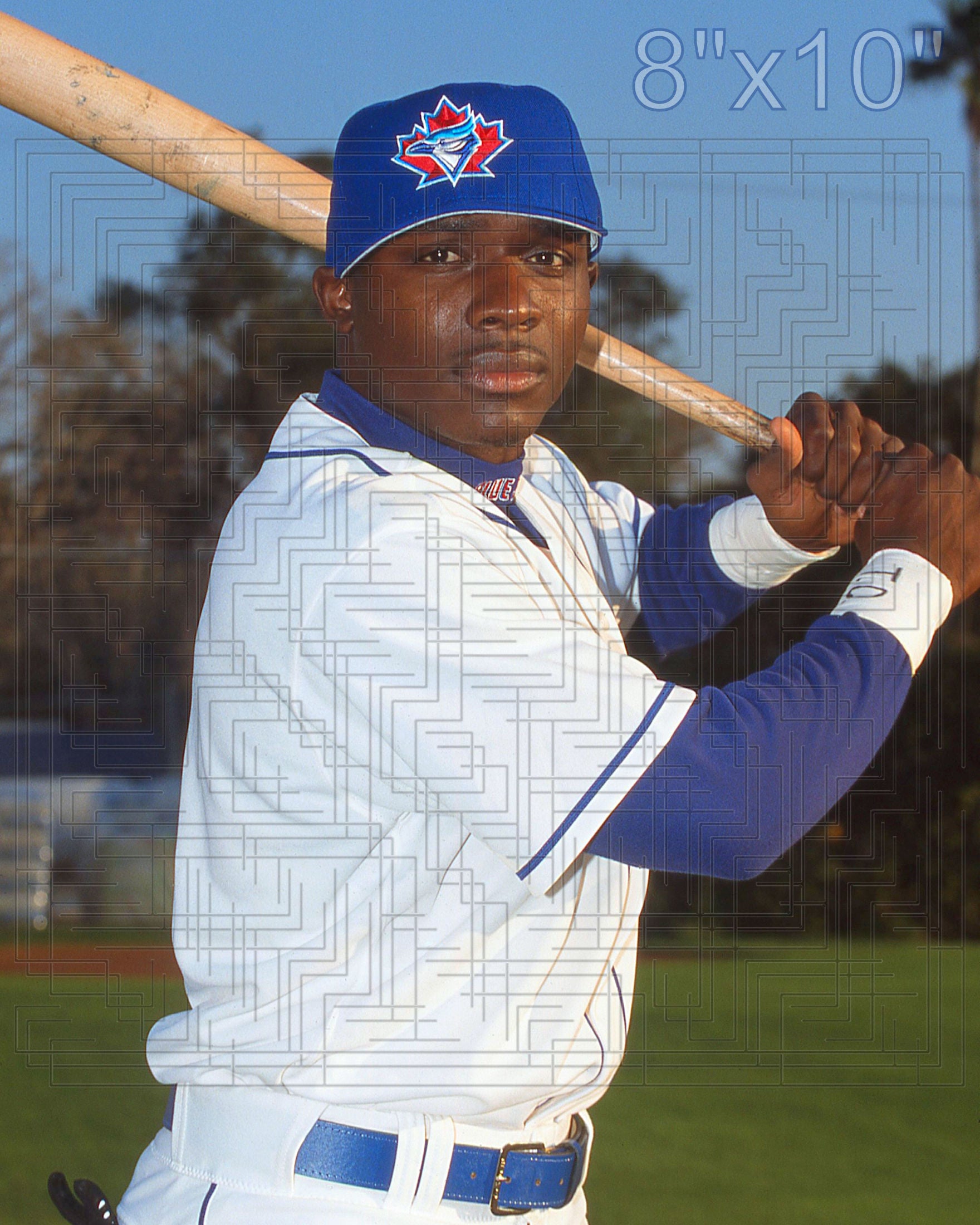 Orlando Hudson - 2002 Toronto Blue Jays - choose a size & style
