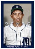 Orlando Pena - 1966 Detroit Tigers - choose a size & style