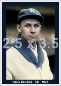 Ossie Bluege - 1925 Washington Senators - choose a size & style
