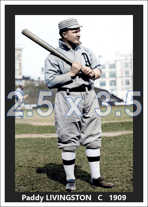 Paddy Livingston - 1909 Philadelphia Athletics - choose a size & style