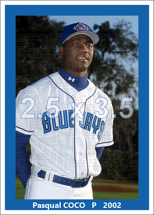 Pasqual Coco - 2002 Toronto Blue Jays - choose a size & style