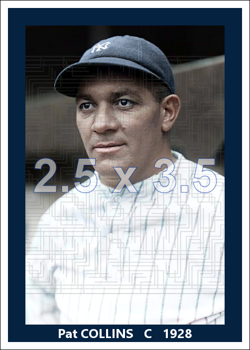 Pat Collins - 1928 New York Yankees - choose a size & style