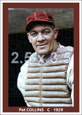Pat Collins - 1929 Boston Braves - choose a size & style