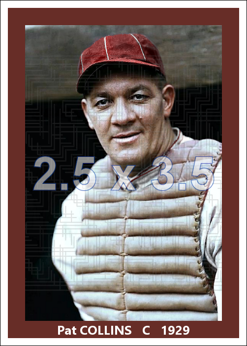 Pat Collins - 1929 Boston Braves - choose a size & style