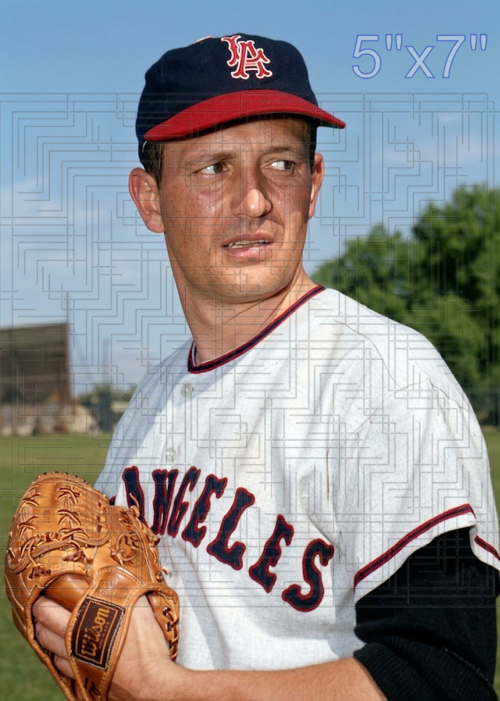 Paul Foytack - 1963 Los Angeles Angels - choose a size & style