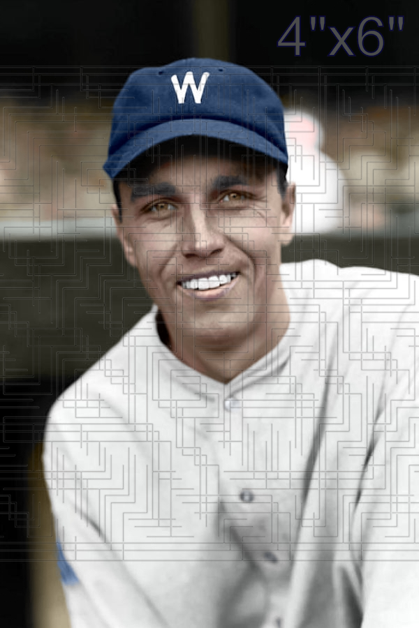 Paul Hopkins - 1929 Washington Senators - choose a size & style