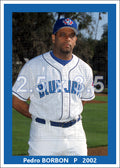 Pedro Borbon - 2002 Toronto Blue Jays - choose a size & style
