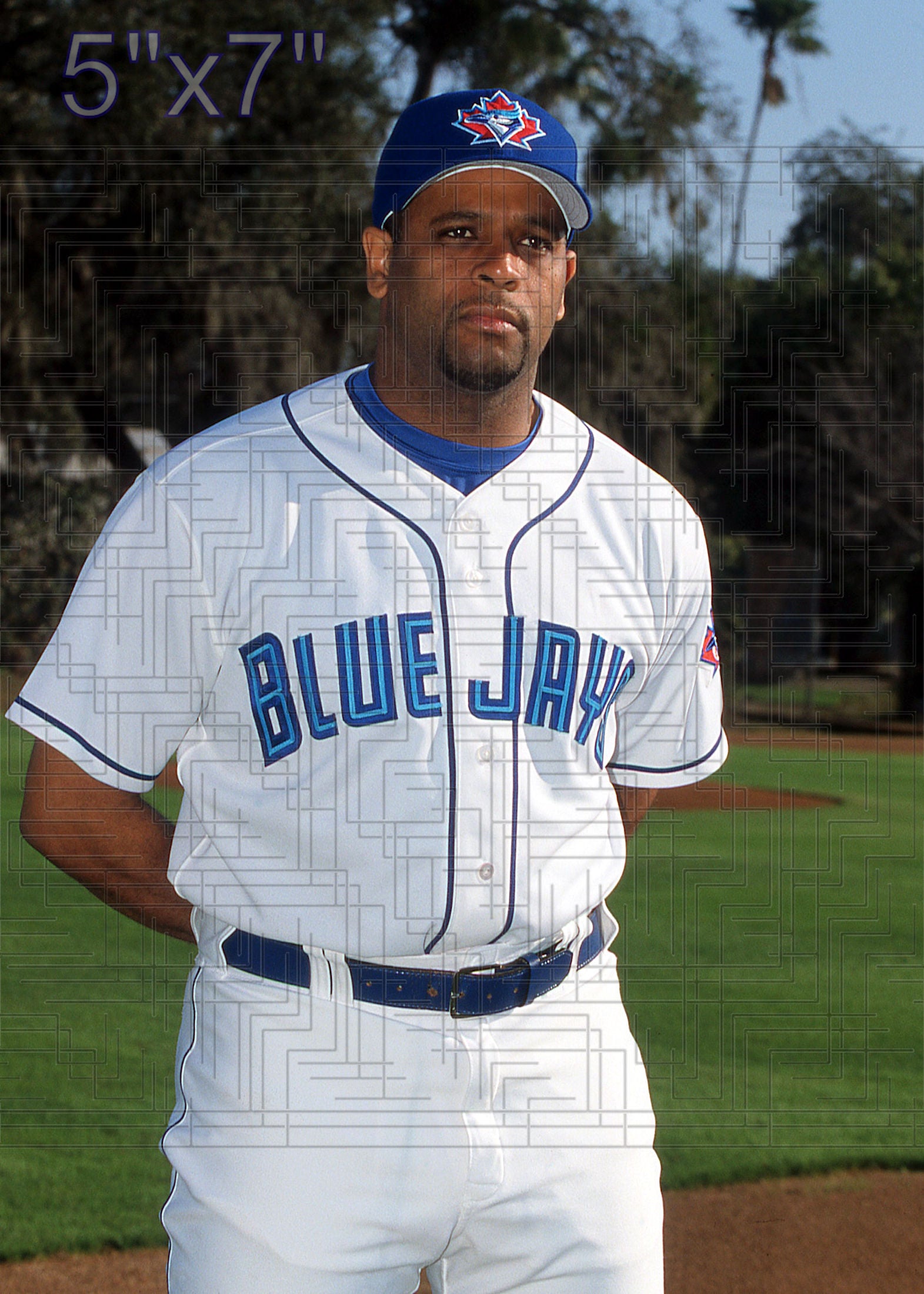 Pedro Borbon - 2002 Toronto Blue Jays - choose a size & style
