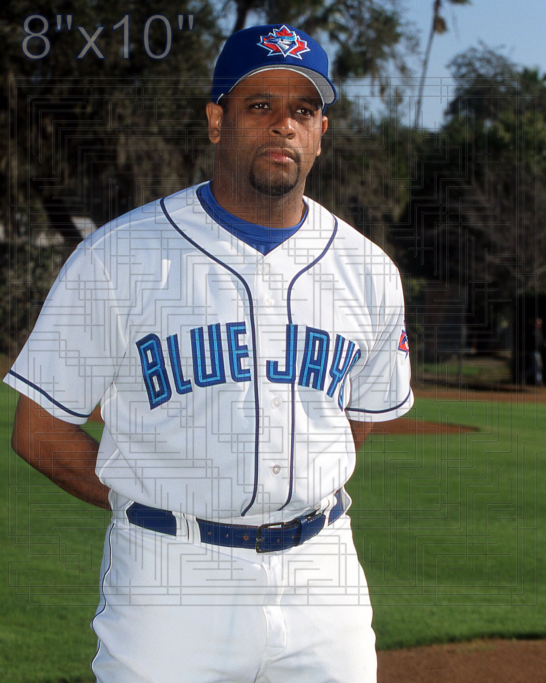 Pedro Borbon - 2002 Toronto Blue Jays - choose a size & style