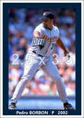 Pedro Borbon - 2002 Houston Astros - choose a size & style