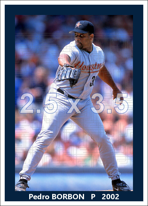Pedro Borbon - 2002 Houston Astros - choose a size & style