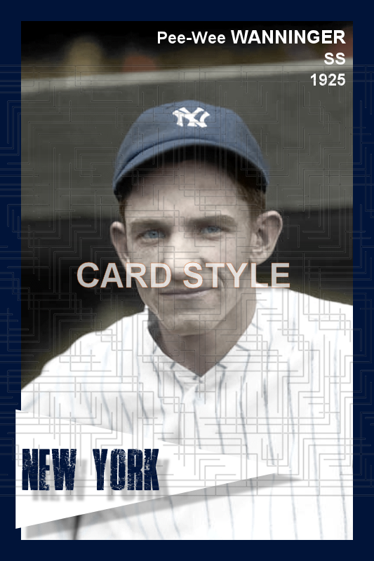 Pee-Wee Wanninger - 1925 New York Yankees - choose a size & style