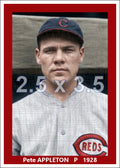 Pete Appleton - 1928 Cincinnati Reds - choose a size & style