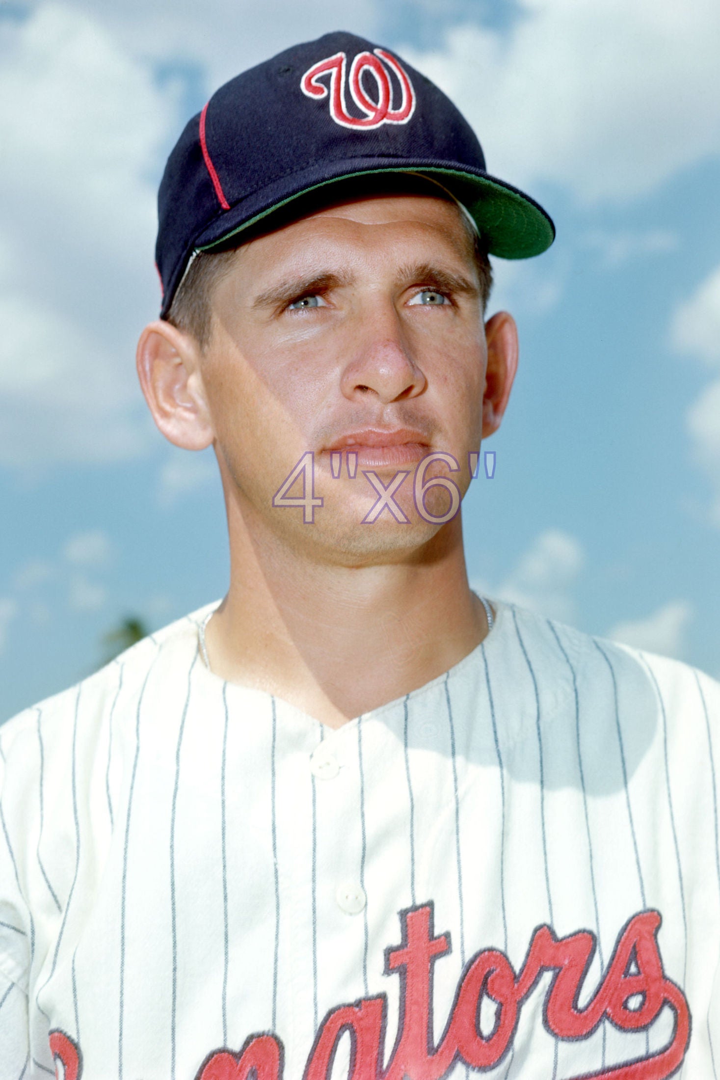 Pete Craig - 1968 Washington Senators - choose a size & style